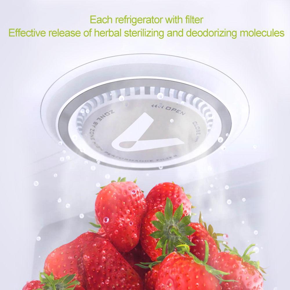 Refrigerator Air Clean Facility Filter | Stornfield