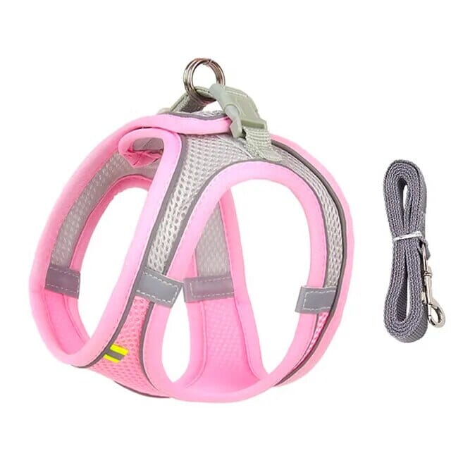 Stornfield Venture Dish & Leash