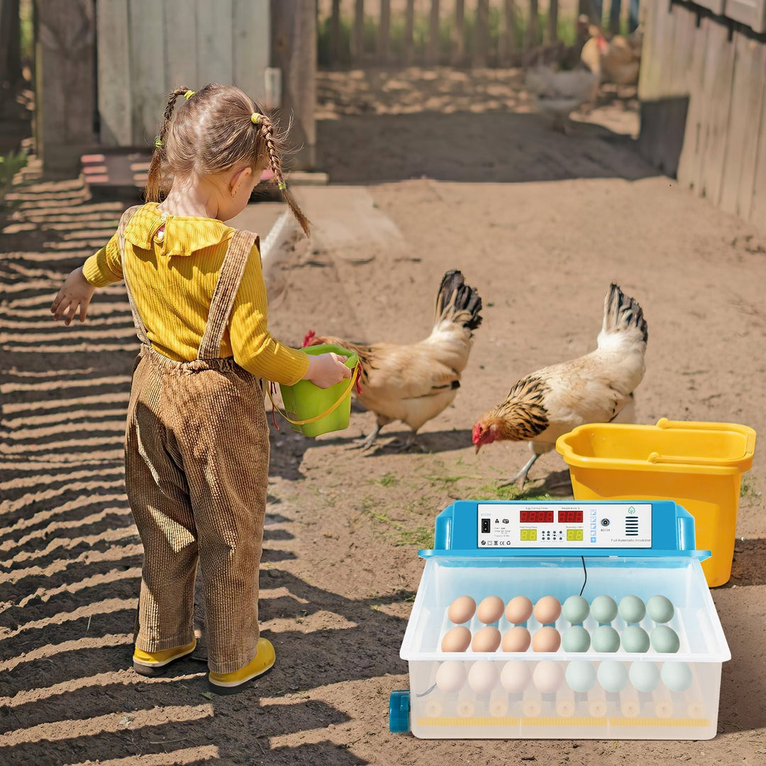 Brutautomat Fully Automatic Incubator for Chickens 64 Eggs | Stornfield