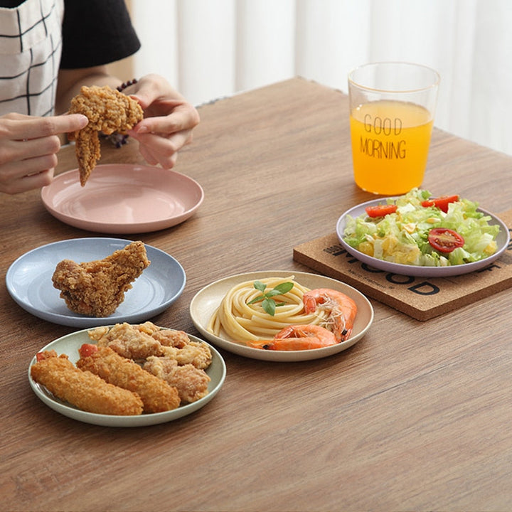 4pcs Dinner Plates Biodegradable Plates Fruit Dish Snack Plate | Stornfield