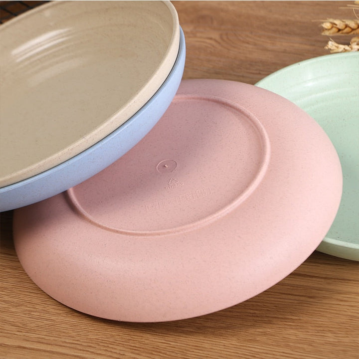 4pcs Dinner Plates Biodegradable Plates Fruit Dish Snack Plate | Stornfield