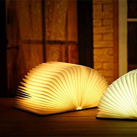 Stornfield | Frendorf Book Light