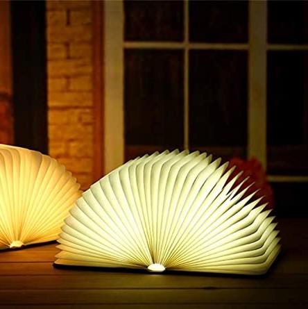 Stornfield | Frendorf Book Light