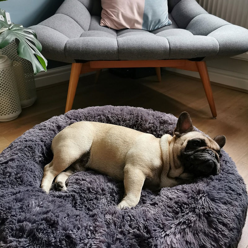 Stornfield | Donut Lit pour Chien en Peluche Calmant pour Chiens Petit à Grand