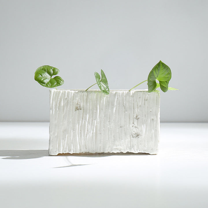 Layered Minimalistic Ceramic Planter