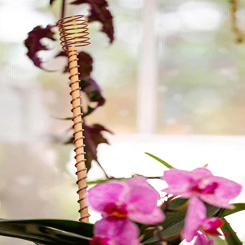 Copper plant stakes 30 cm | Stornfield