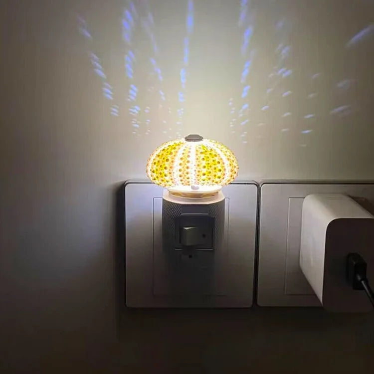 Stornfield | LumiCraft – Unique DIY Table Lamp with Natural Seashell for a Cozy Decoration