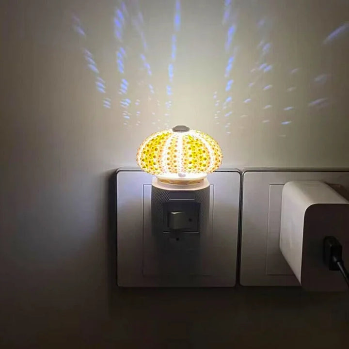 Stornfield | LumiCraft – Unique DIY Table Lamp with Natural Seashell for a Cozy Decoration