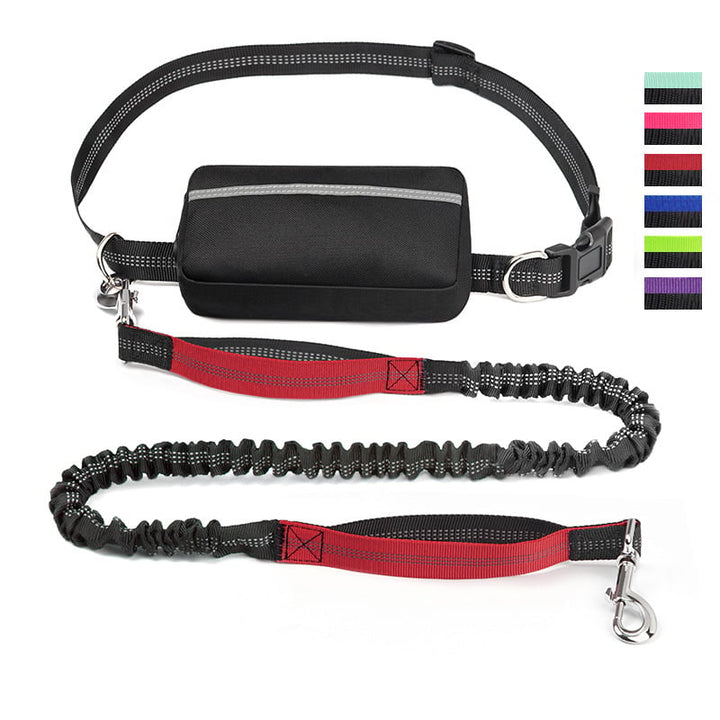 FlowLeash — Experience gentle control and relaxed walks without jerks! | Stornfield