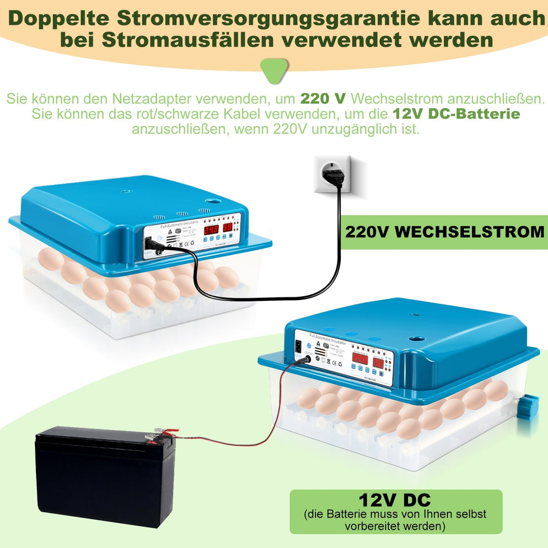 Brutautomat Fully Automatic Incubator for Chickens 36 Eggs | Stornfield