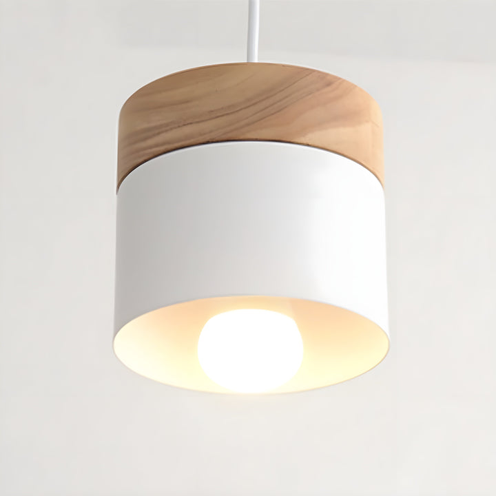 Loft Style Macaron Pendant Light | Stornfield