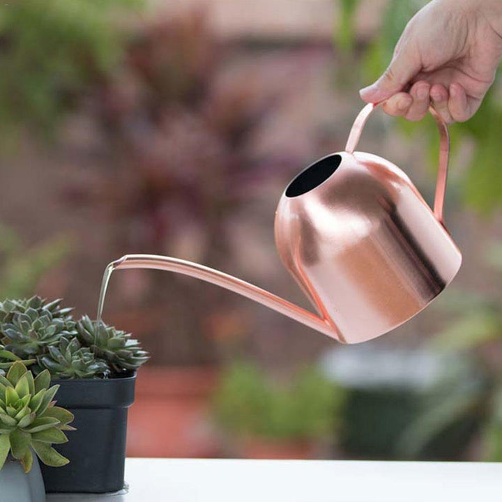 Stornfield | AquaGrace Stainless Steel Watering Can with Flexible Spout | Modern Design | Perfect Watering | Rust-Resistant