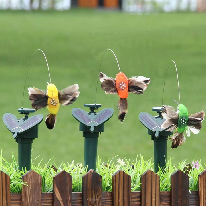 Stornfield | Solar-Powered Dancing Hummingbird and Butterfly