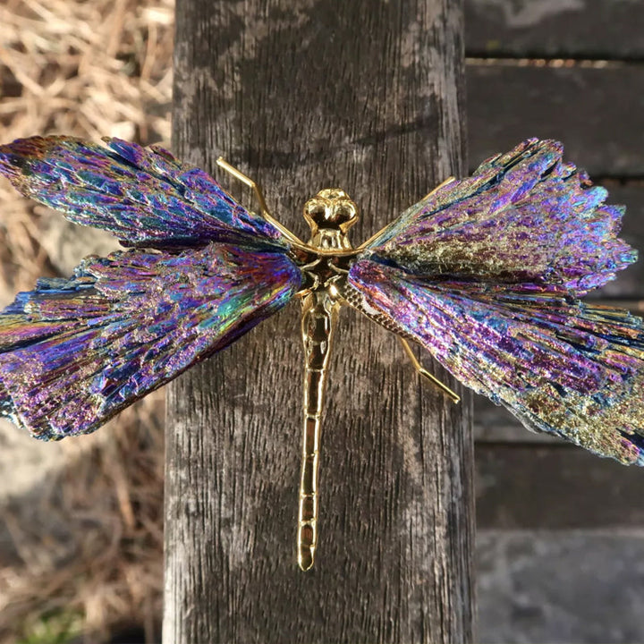 AURA TOURMALINE KYANITE DRAGONFLY | Stornfield
