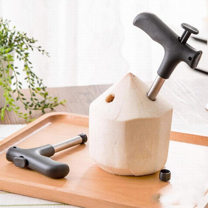 Coconut opening tool in Stainless Steel | Stornfield