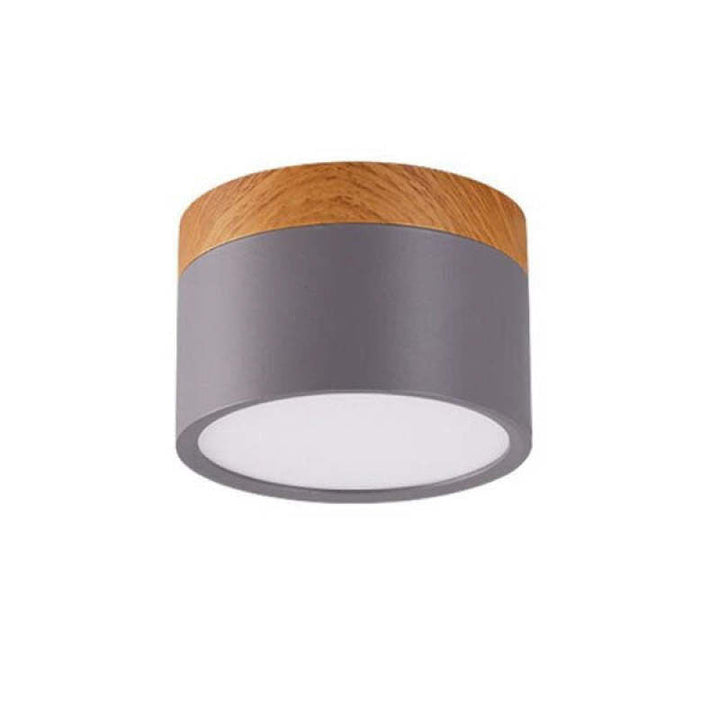 Morandi Style Modern LED Ceiling Lamp - LumiModo | Stornfield