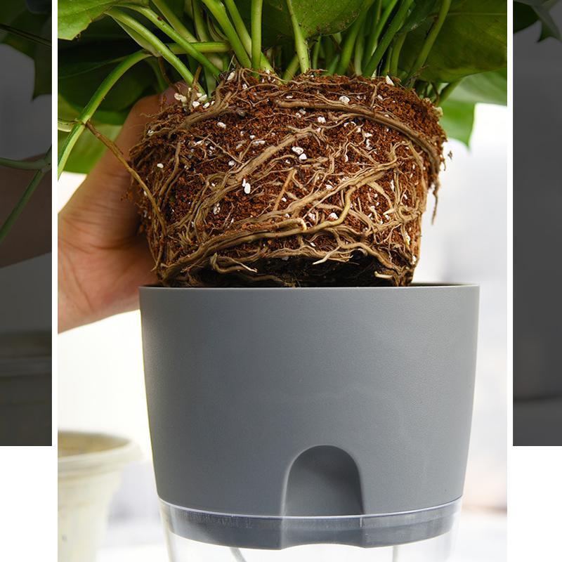 Stornfield | Self-Watering Hydro Planter