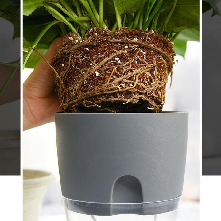 Stornfield | Self-Watering Hydro Planter