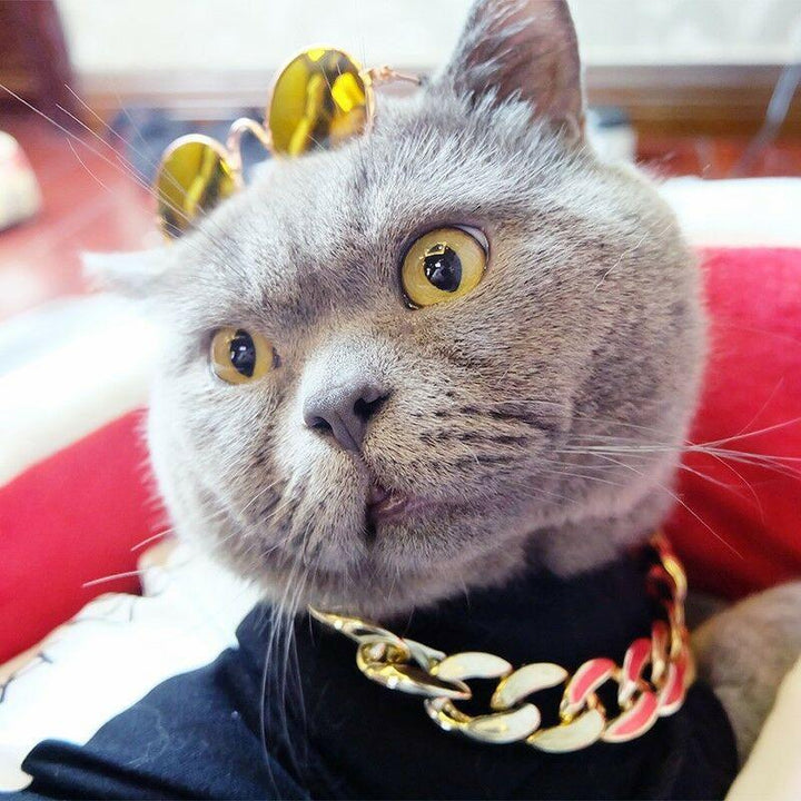 Stornfield | Pet Jewelry Thick Gold Chain Collar