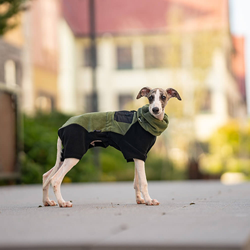 Stornfield | Full Protection Fleece Dog Bodysuit with Detachable Collar