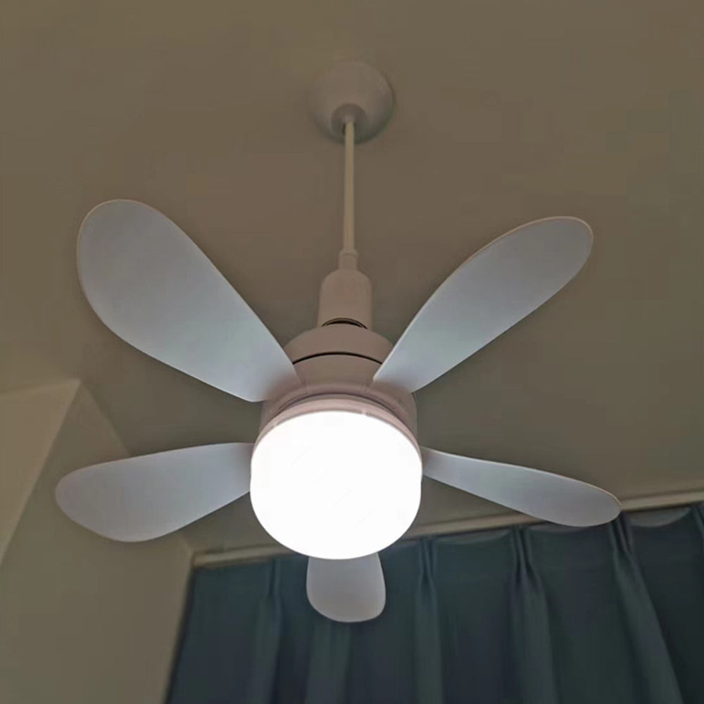 Ceiling Fans with Lights | Stornfield