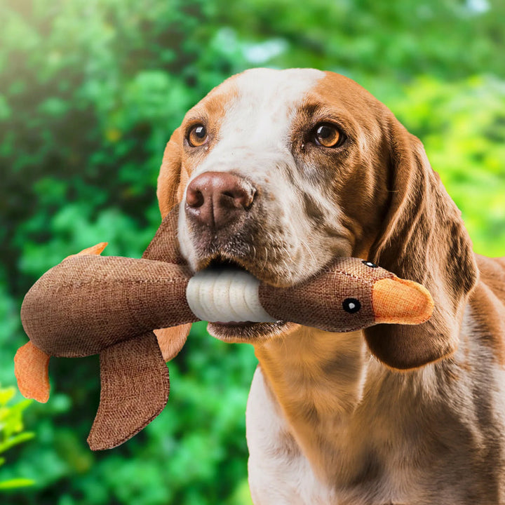 Stornfield | Jouet pour chien indestructible (1+1 GRATUIT) - ToughGoose
