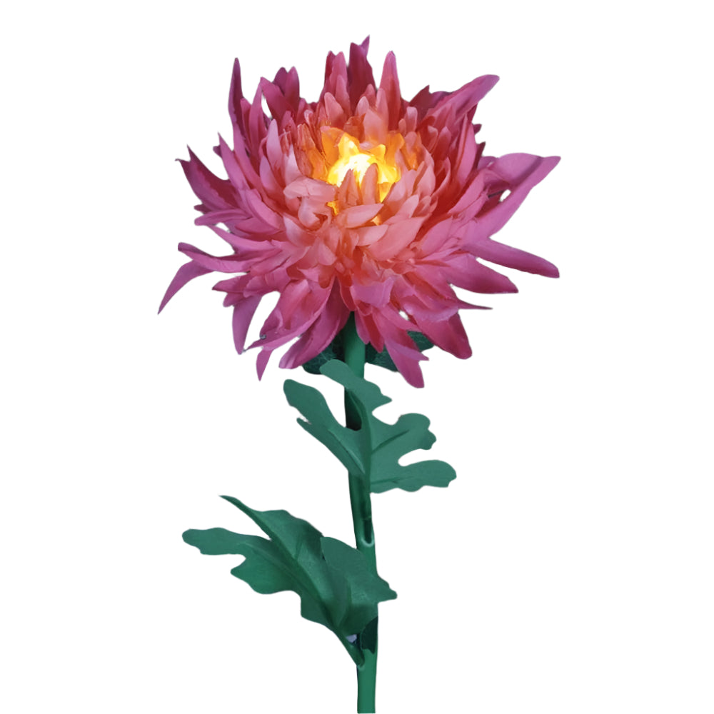 Stornfield Color-Changing LED Outdoor Decor – Powered Garden Lights