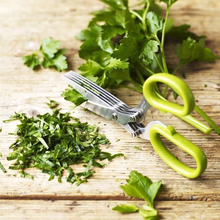 Multilayer Spring Onion Scissors | Stornfield