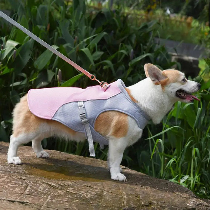 Dog Cooling Vest for Outdoor Activities | Stornfield