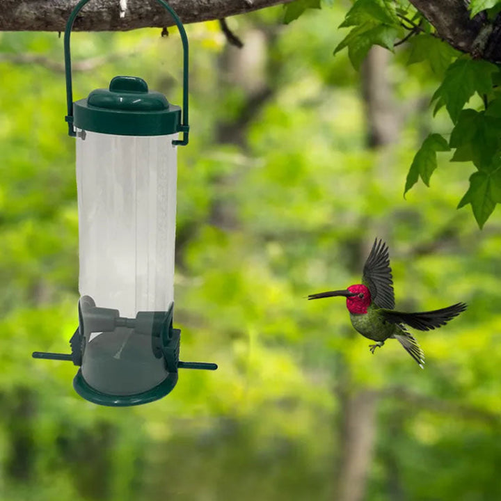 Squirrel-proof birdhouse | Stornfield