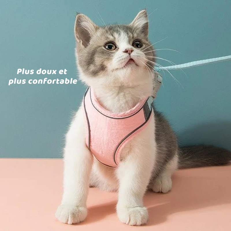 Harness and Leash Set for Cat | Stornfield