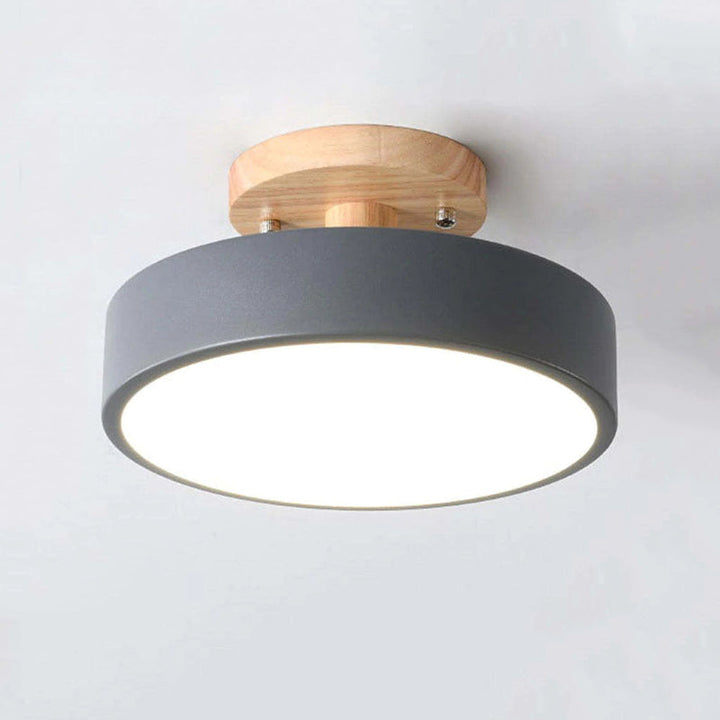 Alaric Modern LED Ceiling Lamp | Stornfield