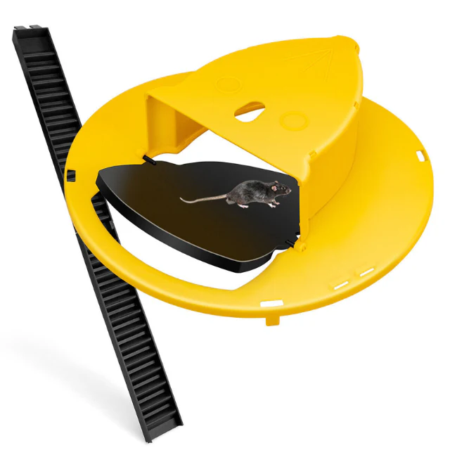 Reusable live trap for mice & rats | Stornfield