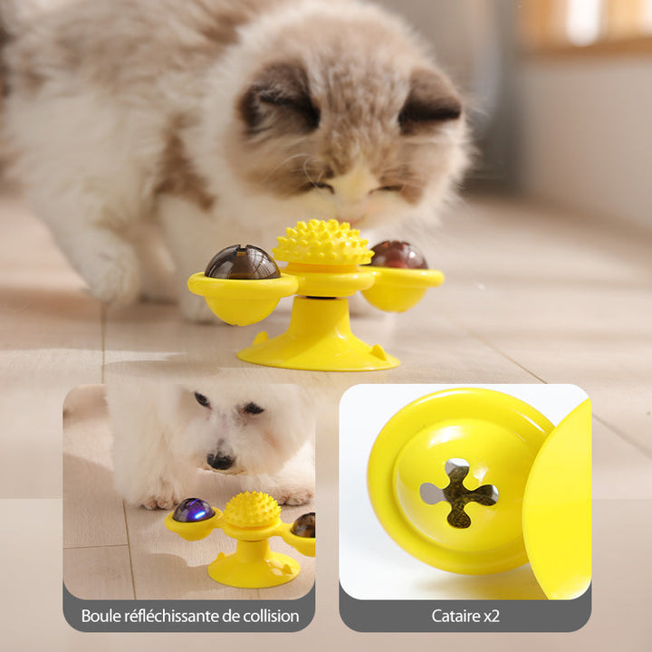 Funny Windmill Cat Toy | Stornfield
