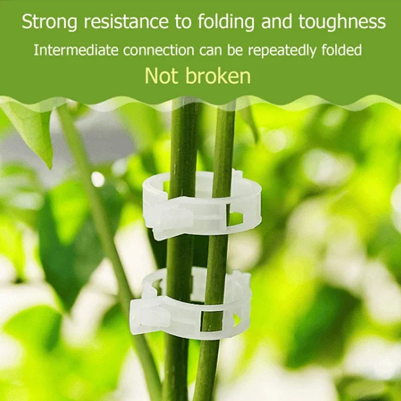 Plant support clips | Stornfield