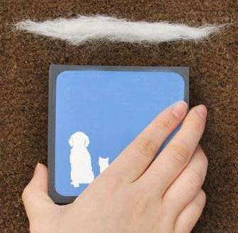 Magic Fur Brush | Stornfield