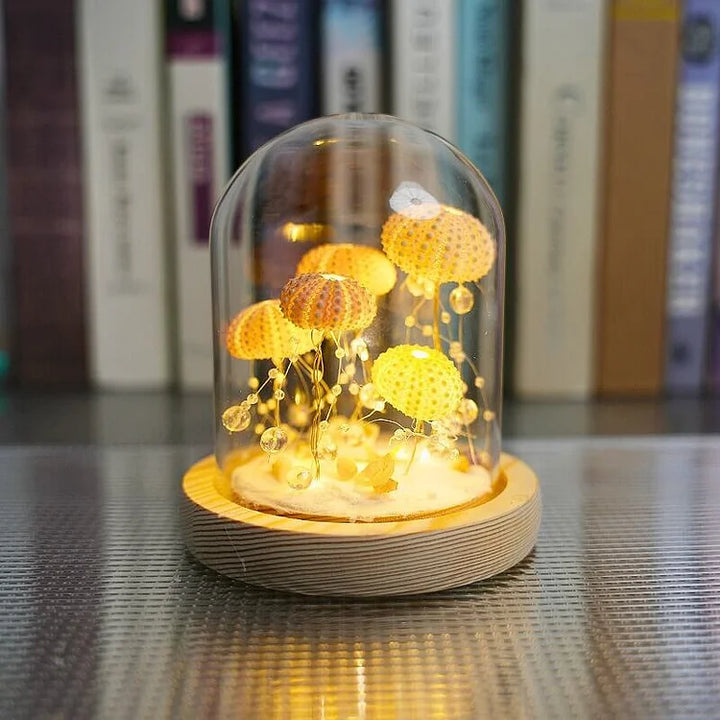 Stornfield | LumiCraft – Unique DIY Table Lamp with Natural Seashell for a Cozy Decoration