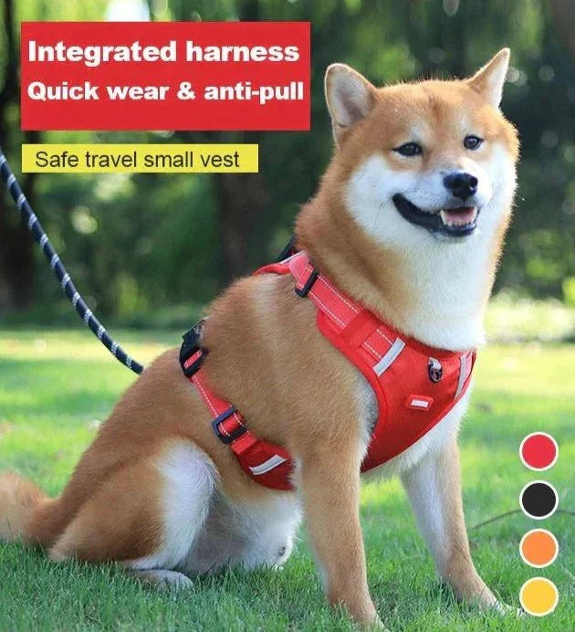 DogGrip Walk Safely with Your Dog | Stornfield
