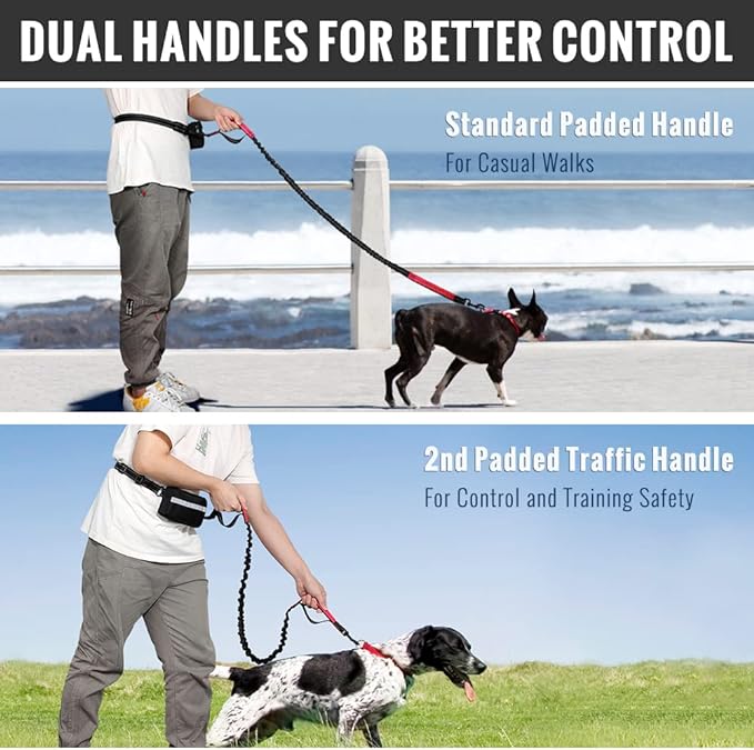 FlowLeash — Experience gentle control and relaxed walks without jerks! | Stornfield