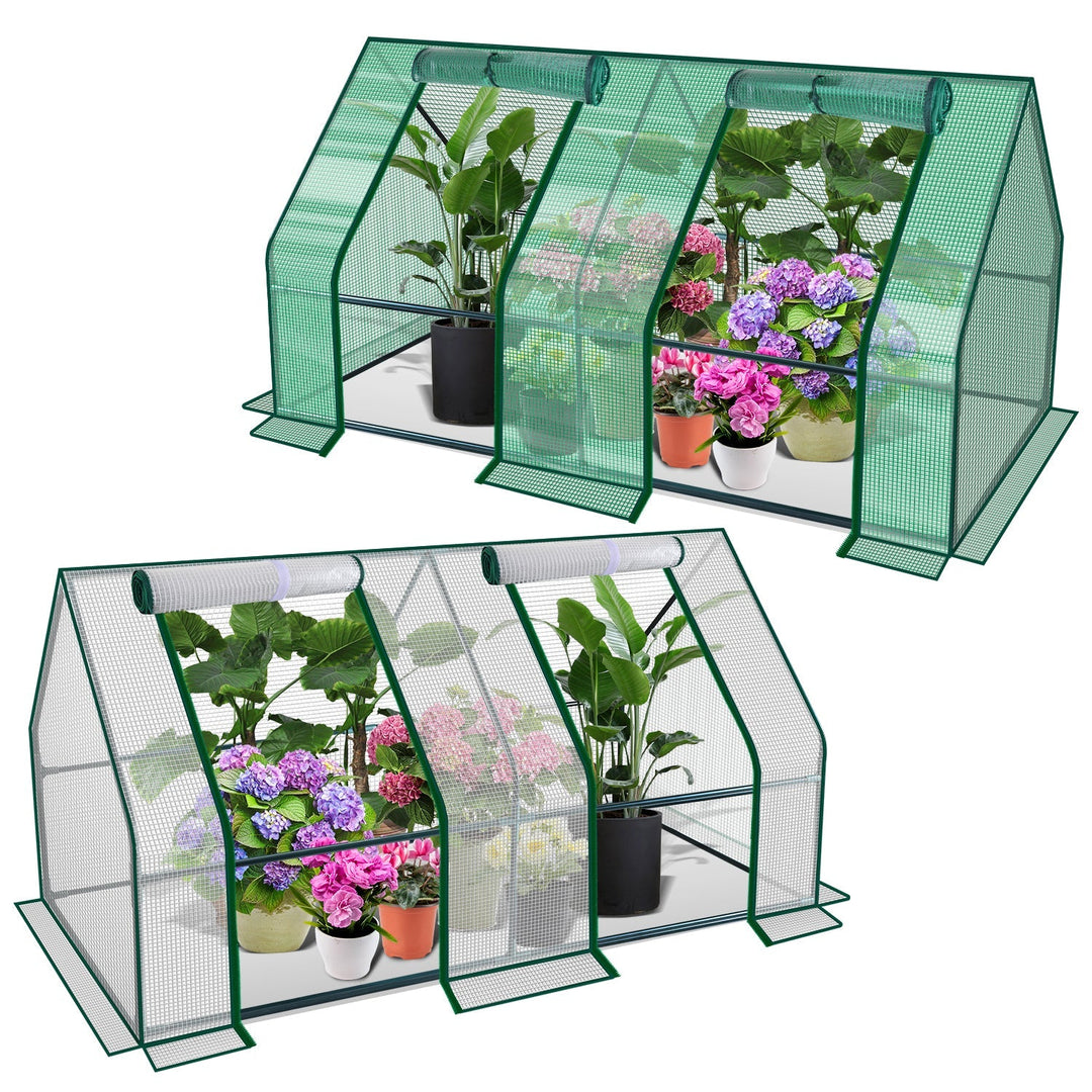 Greenhouse Tomato Greenhouse Hothouse | Stornfield