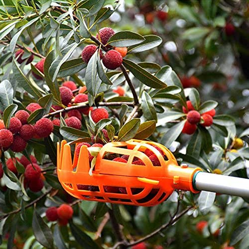 Fruit Picker | Stornfield