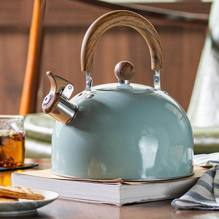 Stainless Steel Whistling Kettle Cooking Time – 2.5L or 3L with Sound Signal | Stornfield
