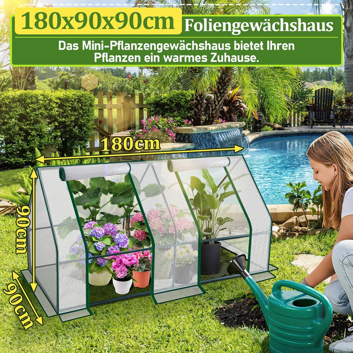 Greenhouse Tomato Greenhouse Hothouse | Stornfield