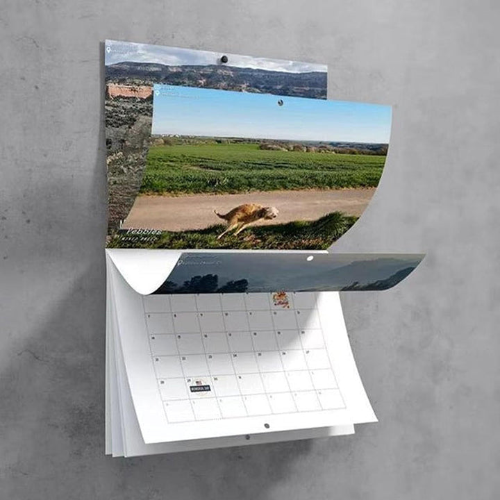 Funniest Calendar-Dogs Pooping in Beautiful Places | "Artistic Expression" of Furry Friends | Stornfield