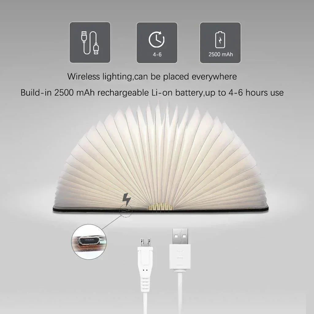 Stornfield | Frendorf Book Light