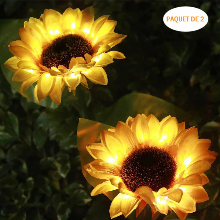 Sunflower Light, 2pcs | Stornfield