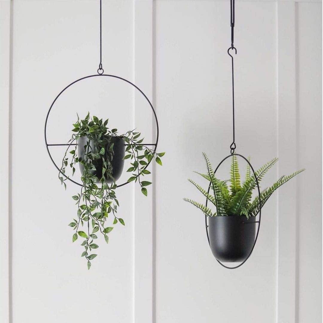 HaloRing Hanging Plant Holder – Metal Hanging Planter for Indoor and Outdoor | Stornfield