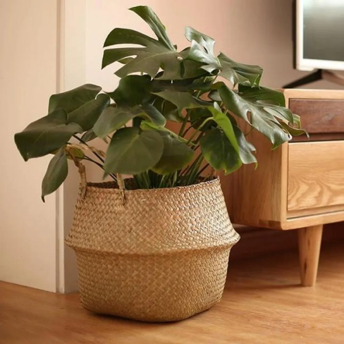 Stornfield | Rattan plant stand