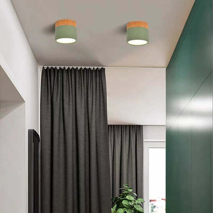 Morandi Style Modern LED Ceiling Lamp - LumiModo | Stornfield