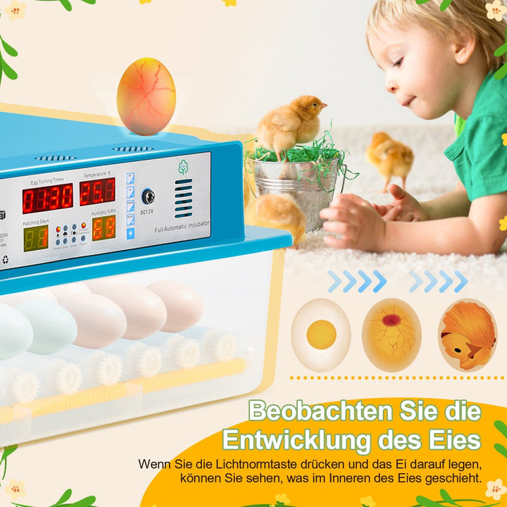 Brutautomat Fully Automatic Incubator for Chickens 64 Eggs | Stornfield